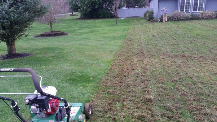 Service-Dethatching