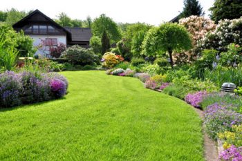 Service-Lawn-Maintenance Service-Lawn-Maintenance