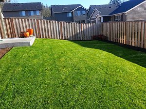 Service-Lawn-Mowing Service-Lawn-Mowing