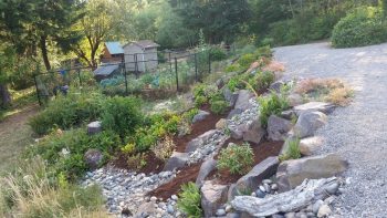 Service-Weed-Control