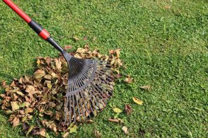 Service-Yard-Cleanup Service-Yard-Cleanup